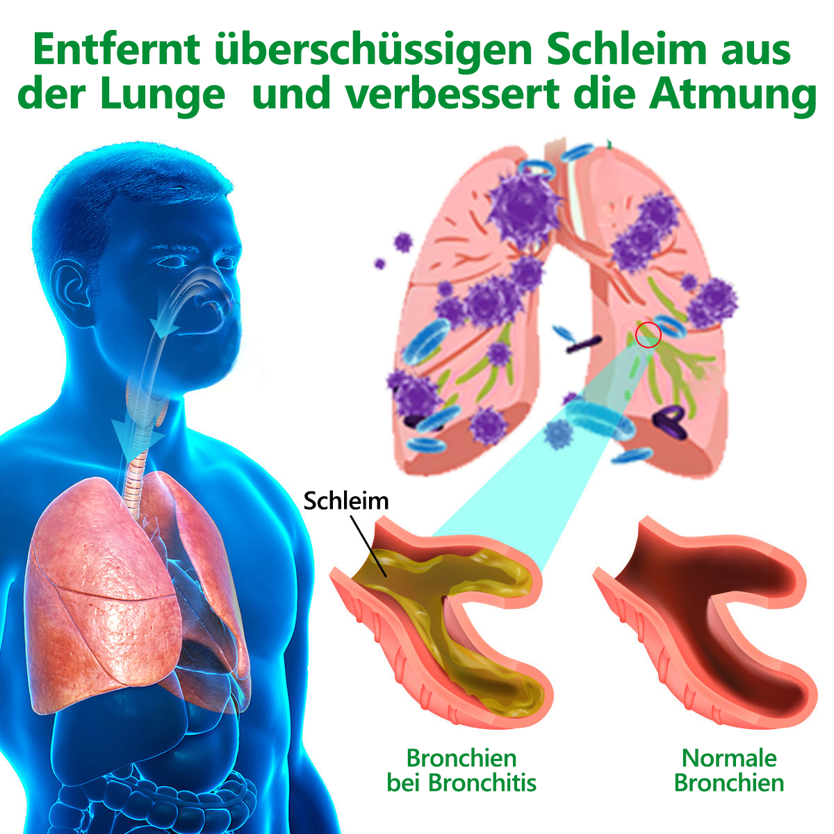 🔥Erwerben Sie eine zweite Bestellung mit einem Rabatt von 50%🔥